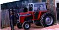 Todays featured picture is a 1977 Massey Ferguson 590