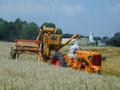 Todays featured picture is a 1947 Minneapolis Moline RTU and 1953 International Harvester