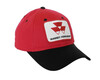 photo of 6-panel pro style cap with brass buckle size adjuster.