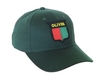 photo of The old split-shield style logo on a solid green hat.