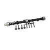 Ford 641 Camshaft Kit, Camshaft and Lifters