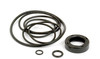 Ford 6600 Power Steering Seal Kit