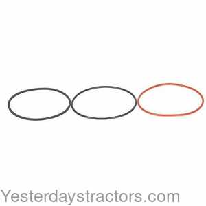 John Deere 1020 Liner Sealing Ring Kit 166432