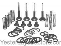 Massey Ferguson 150 Lift Pump VALVE CHAMBER Repair Kit 830997M1